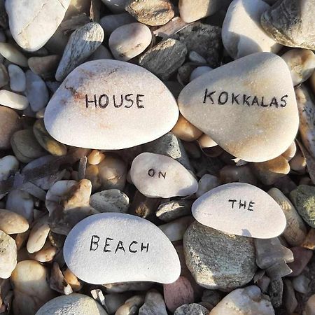 House Kokkalas On The Beach Pyrgadikia Buitenkant foto