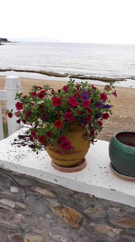 House Kokkalas On The Beach Pyrgadikia Buitenkant foto