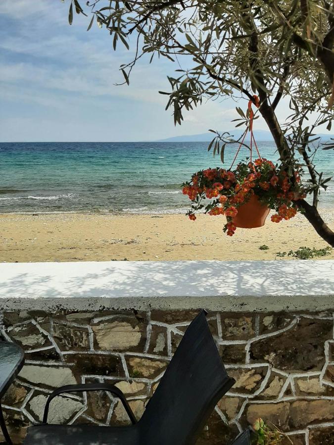House Kokkalas On The Beach Pyrgadikia Buitenkant foto