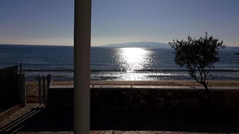 House Kokkalas On The Beach Pyrgadikia Buitenkant foto
